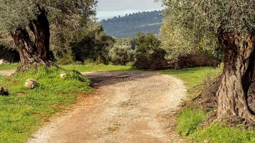 The Three Seekers of the Call